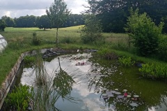 IMG20250616120920