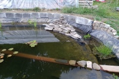 IMG20220624192509