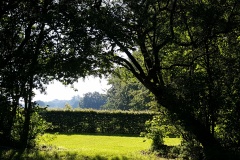 20190623_081725