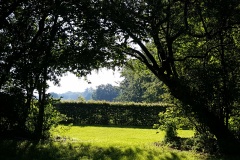 20190623_081734