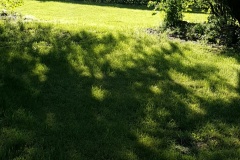 20190623_081756