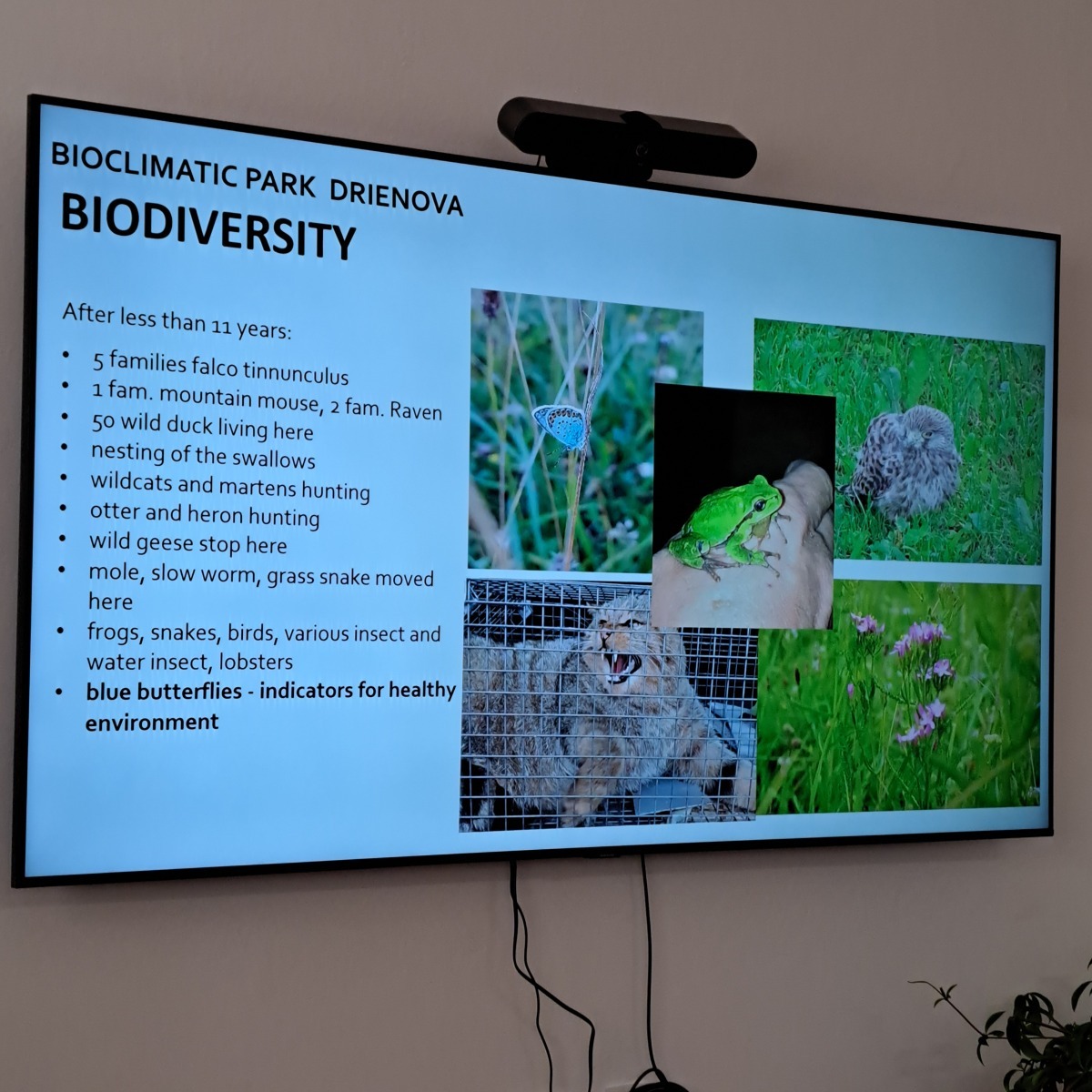 20241029_120118 20241029_120118