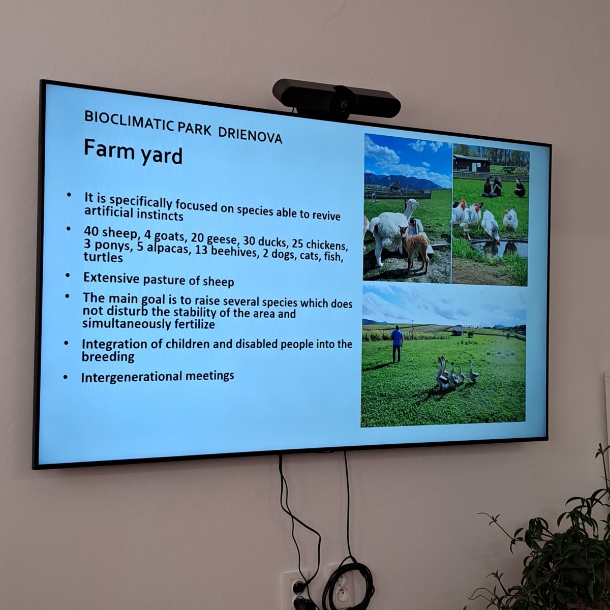 20241029_120725 20241029_120725