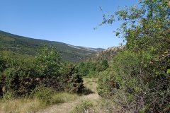 IMG20220705103608