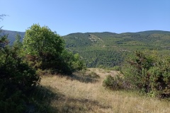 IMG20220705103744