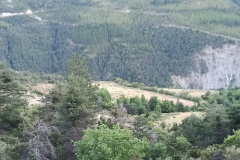 IMG20220710210010