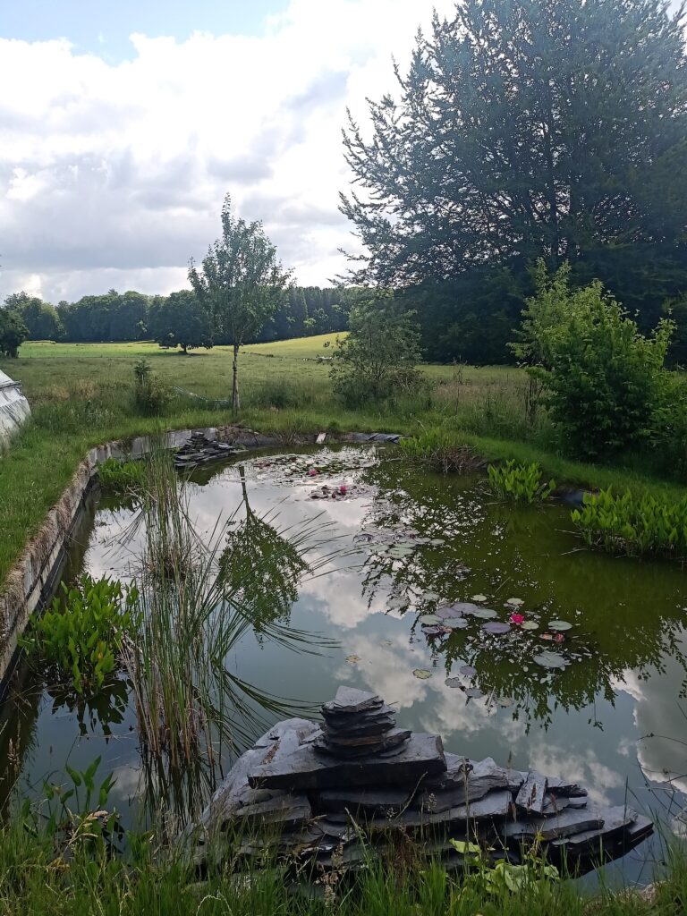 Céréales jardinées, néguentropie, croissances et productions Céréales jardinées, néguentropie, croissances et productions