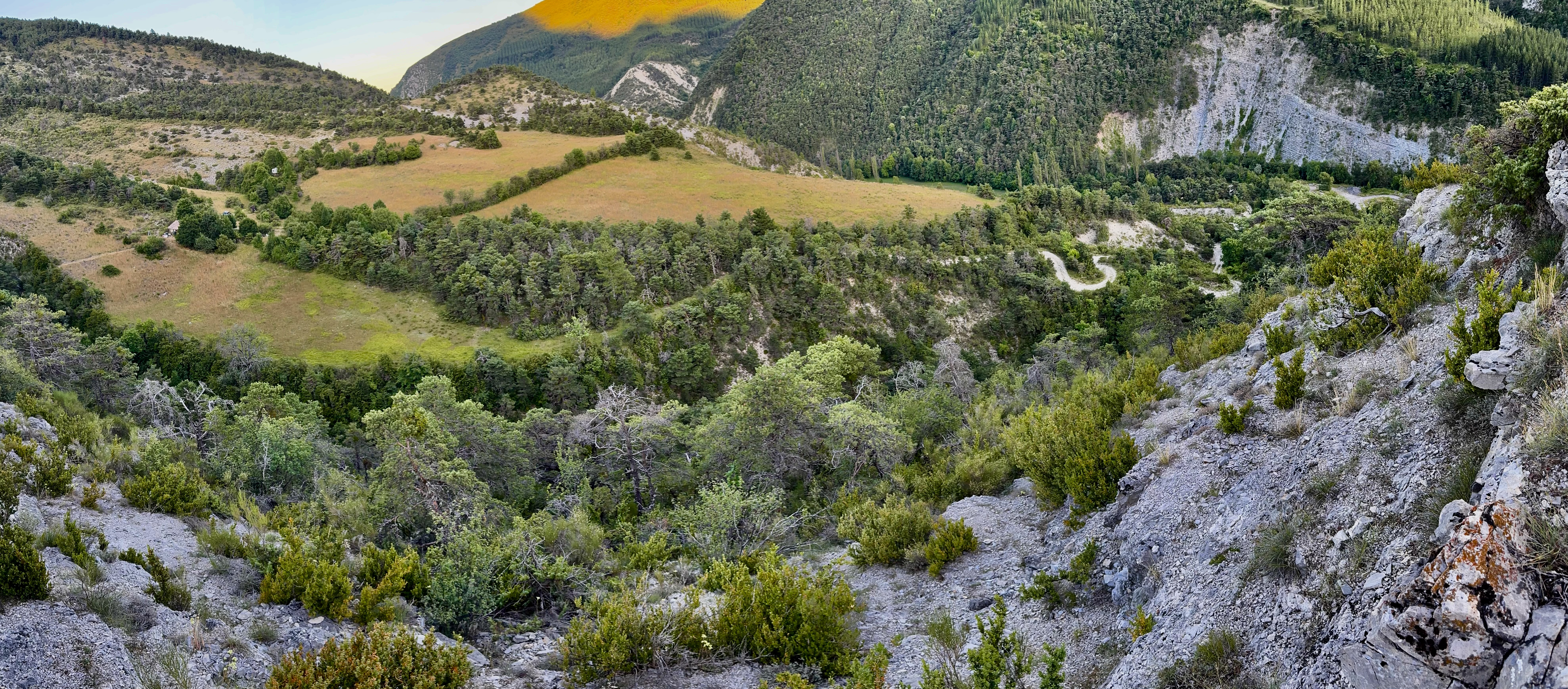 Projet d’agroforesterie de Ville Vieille Projet d’agroforesterie de Ville Vieille