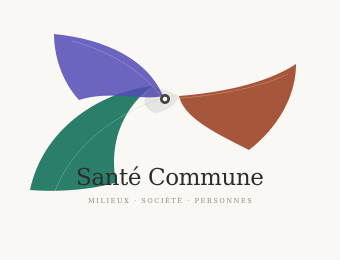 Santé Commune: Exemples de territoires ont déjà appliqué un diagnostic intégré de type Santé Commune